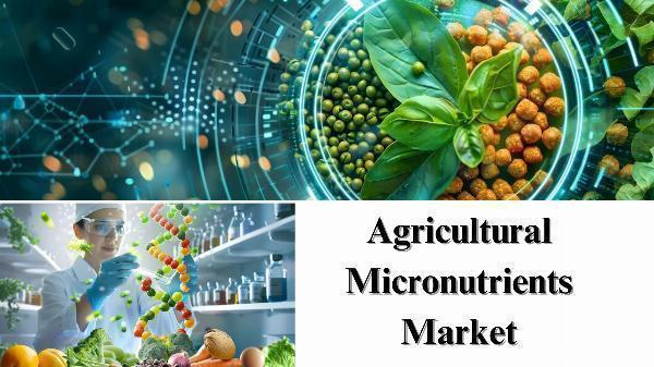 Agricultural Micronutrients Market Size, Share, and Growth Trends by 2032