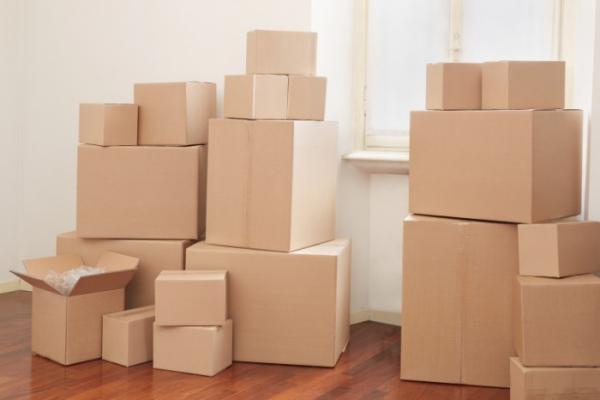 What Are the Environmental Benefits of Using Corrugated Boxes Bay Area