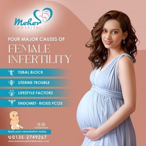 Four Major Couses Of Female Intertiltiy: Meher Hospital