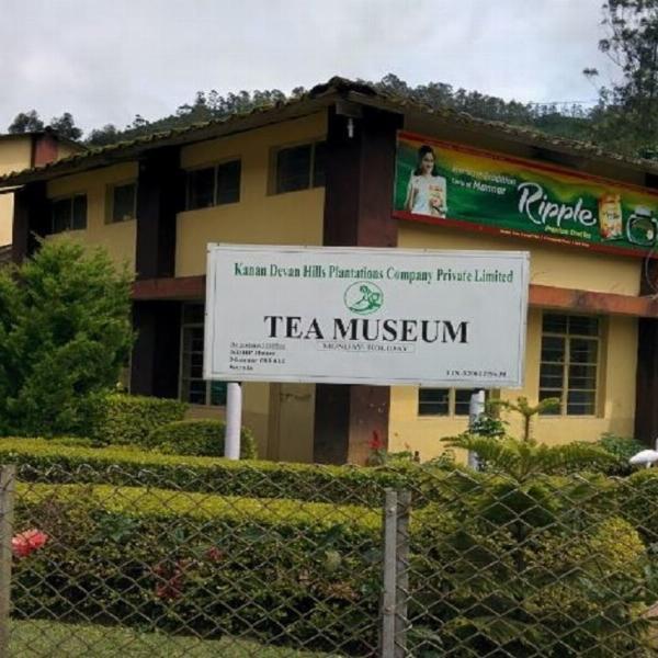 Exploring the Tata Tea Museum, Estate, and Factory in Munnar: Timings and Entry Fees