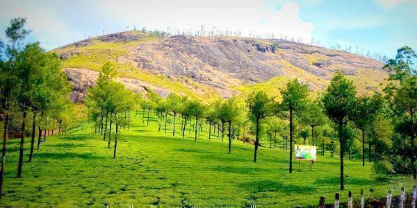Discovering Photo Point in Munnar: A Guide to the Scenic Gem