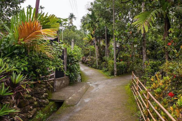 Exploring Mawlynnong: Your Ultimate Guide to Mawlynnong Tour Packages