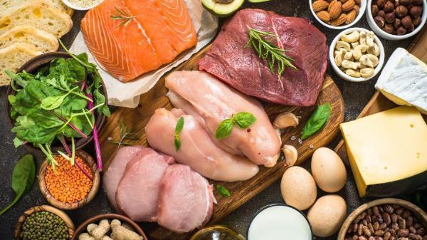 United States Protein Ingredients Market: Unveiling Competition, Size, and Robust Growth Prospects Through 2029