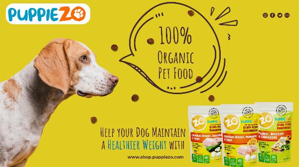 The Importance of The Best Dog Food: A Journey To Healthier Pets