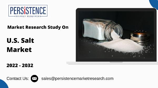 U.S. Salt Market Opportunities in Sustainable Practices and Innovations