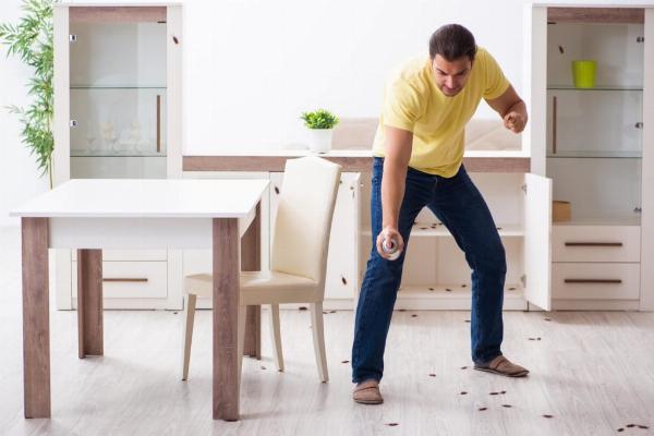 What to do When DIY Pest Control Go Wrong