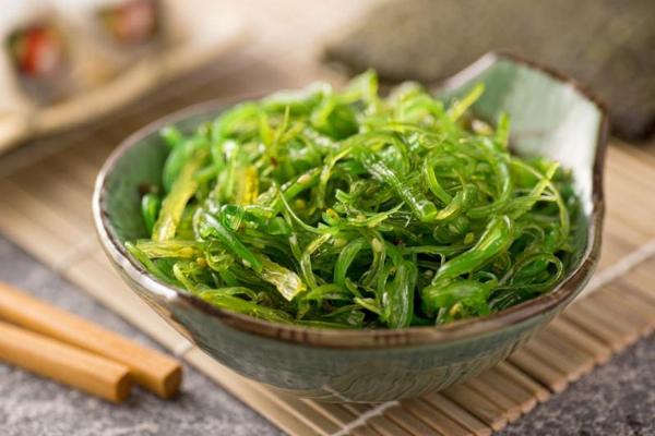 Seaweed Protein Manufacturing Plant Project Report 2024: Machinery, Cost and Raw Materials Requirement