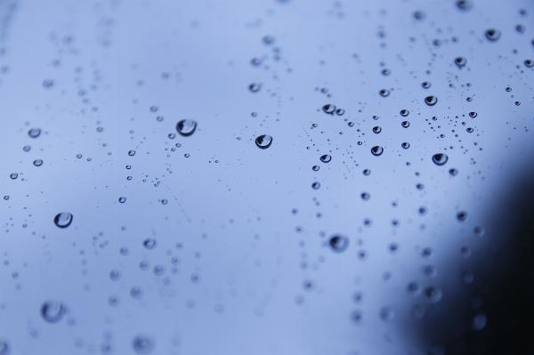 The Beauty and Significance of Rain: A Comprehensive Exploration