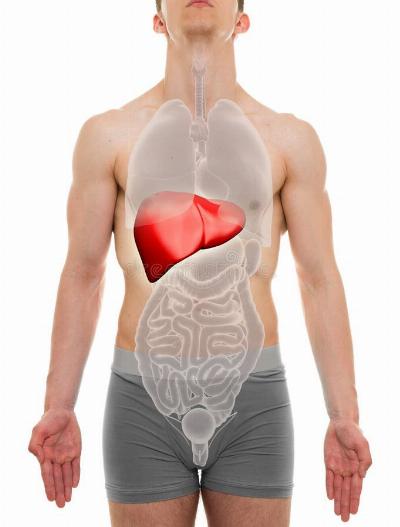 Feel Your Best with IV Liver Detox Solutions