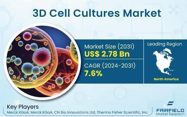 3D Cell Cultures Market Pricing: What Are the Factors Influencing Cost Trends?