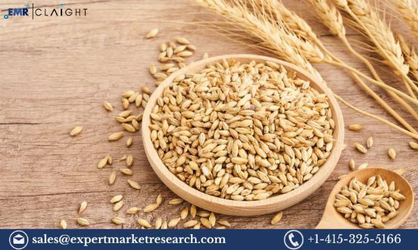 Barley Market Size, Share, Trends, Growth and Industry Report By 2032