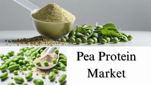 Pea Protein Market Size, Share, and Growth Forecast Overview Through 2032