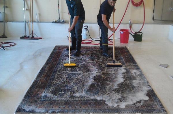 Top Signs It’s Time to Schedule a Professional Carpet Cleaning in Charlotte, NC