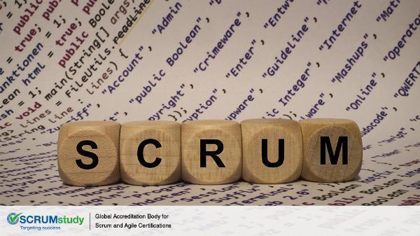Scaled Scrum Certifications: A Vital Component of Professional Development