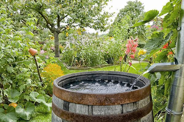 Rainwater Harvesting Manufacturing Plant - Business Plan, Project Report, and Raw Materials