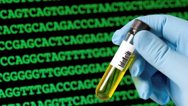 United States Genetic Testing Market: Size, Share, and In-Depth Competitive Analysis Toward 2029