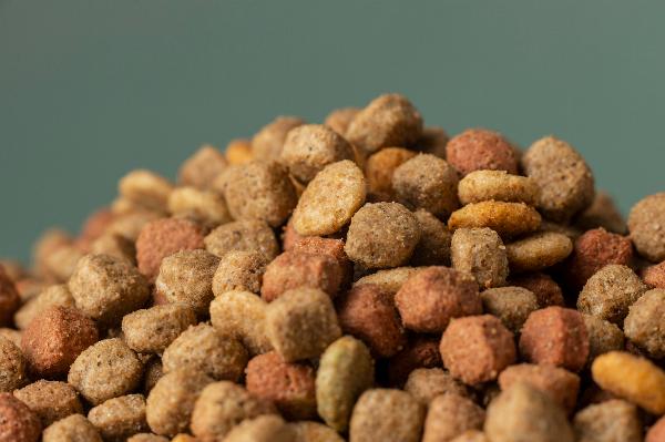 Pet Supplements Market Size, Share, Key Drivers Shaping the Future Growth, 2032