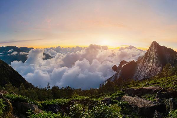 Discovering Top Station: The Jewel of Munnar