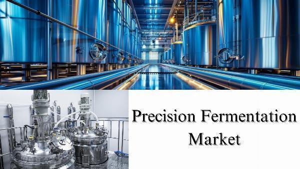 Precision Fermentation Market Size, Share, Analysis and Growth Forecast Through 2032