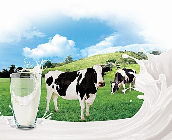 Best Cow Milk in Delhi: Freshness and Purity Delivered by Doodhvale