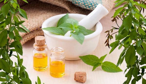 Plant Extracts Market Sees Steady Growth Driven by Health and Wellness Trends