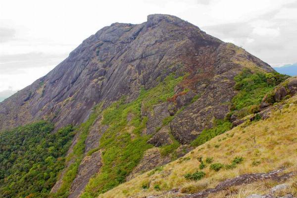 Chokramudi Peak: An Adventurer's Paradise in Munnar