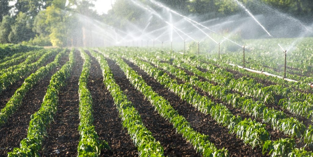 Automatic Plant Watering System Manufacturing Plant Project Report | Raw Material Requirements and Costs
