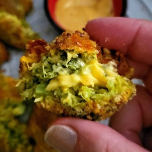 Establish a Broccoli and Cheese Bites Manufacturing Plant: Cost Analysis and Operations