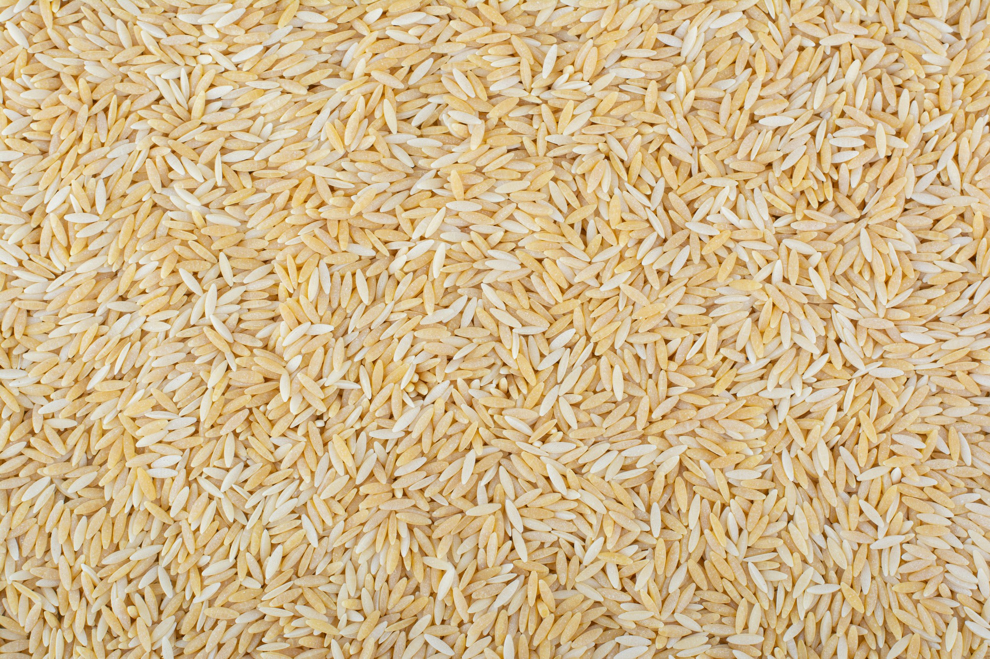 Brown Rice Market Size, Share, Trends and Future Outlook, 2032