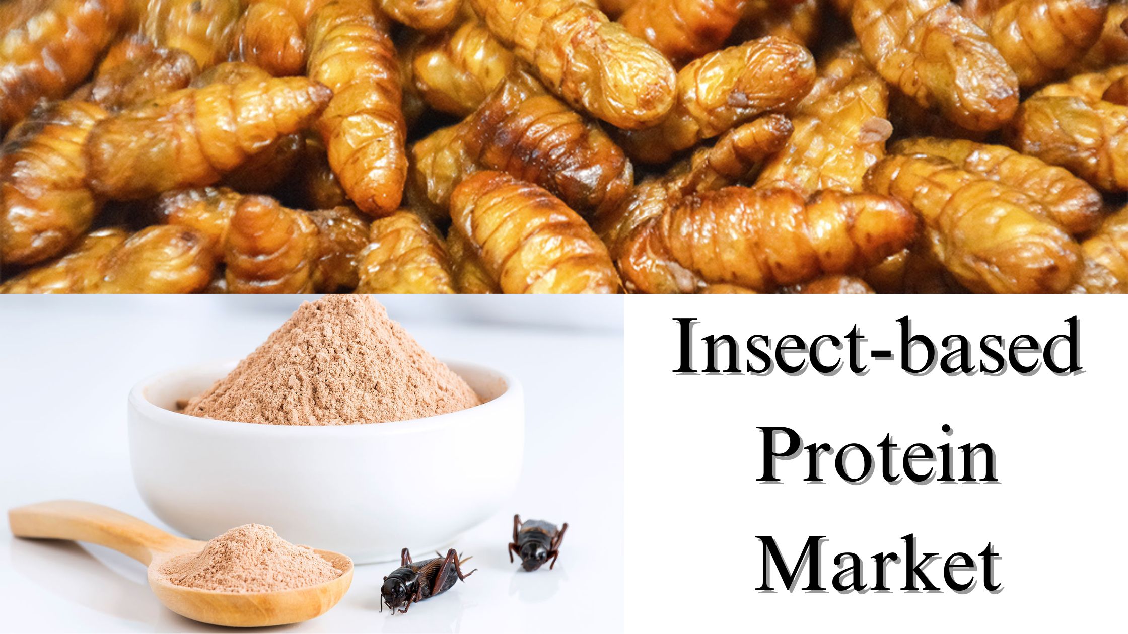 Insect-based Protein Market Size, Share, Analysis and Growth Forecast Through 2029
