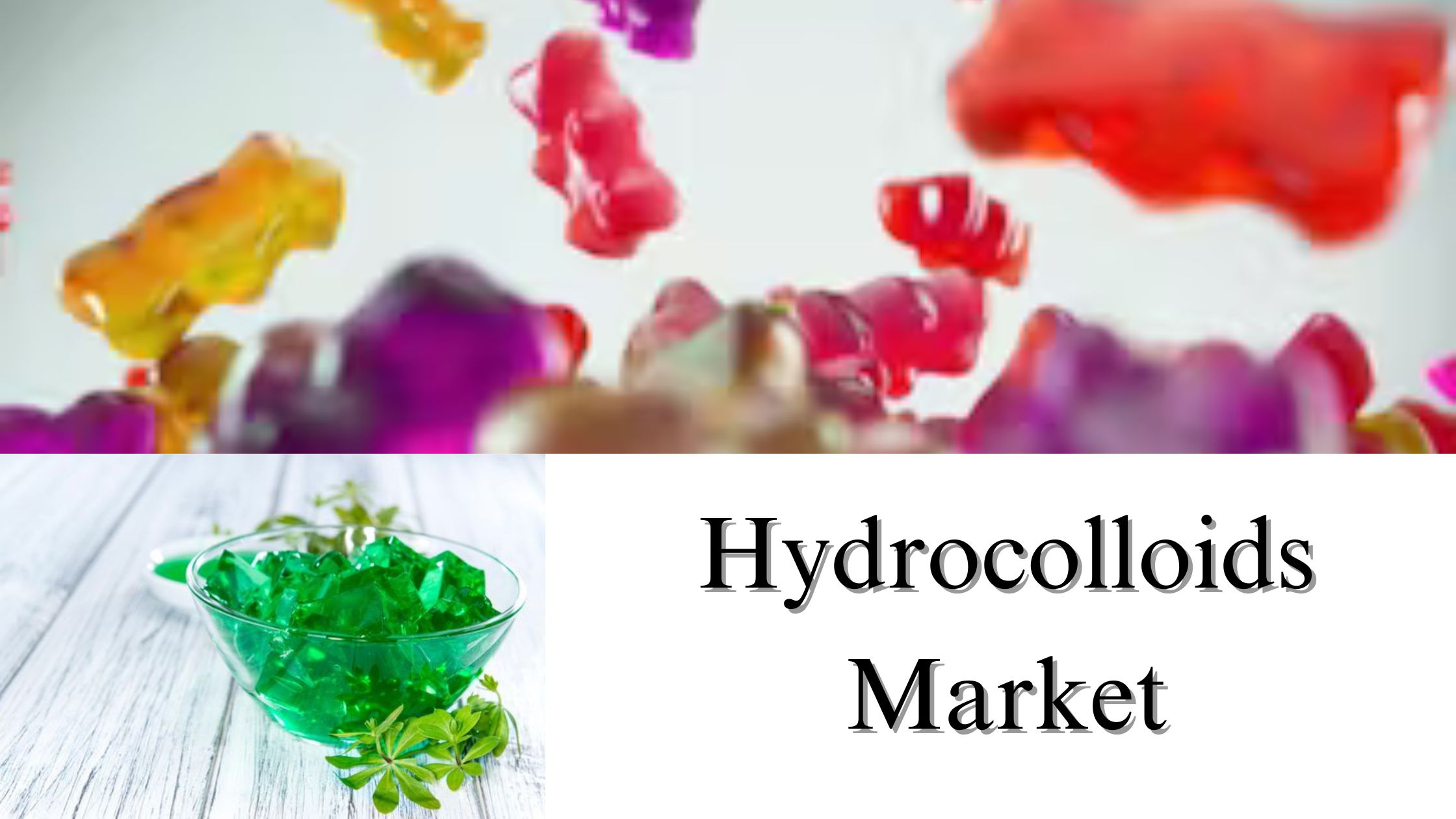 Hydrocolloids Market Size, Share, Growth Insights Through 2032