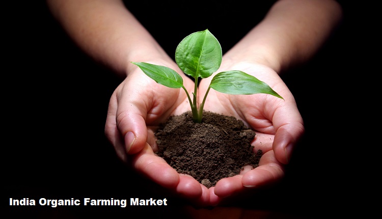 India Organic Farming Market: The Future of Agriculture through R&D