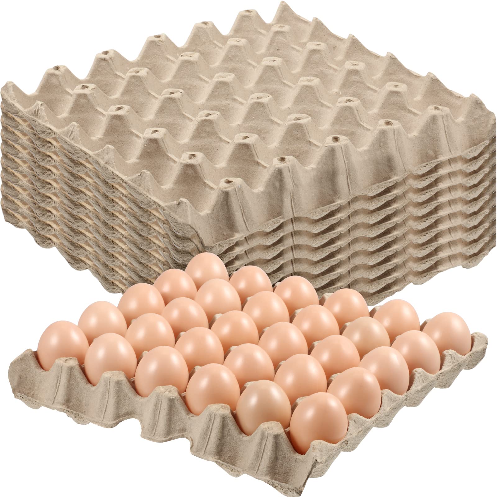 Egg Packaging Market Size, Industry Share and Forecast Report 2024-2032