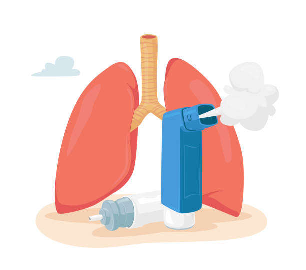 Chronic Bronchitis Market Size, Share, Forecast 2024-2032