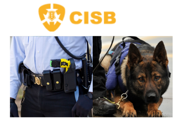 Security Services in India: Ensuring Safety and Peace of Mind with CISB