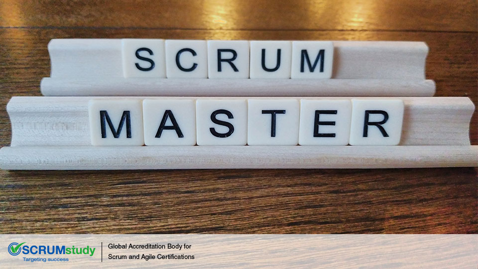 Long-Form Article: Scrum Master Certification Training Validation