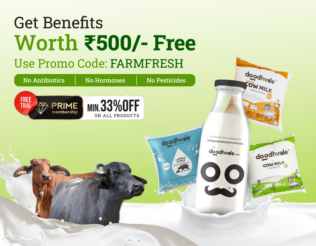Doodhvale: The Best Milk Delivery App in Delhi