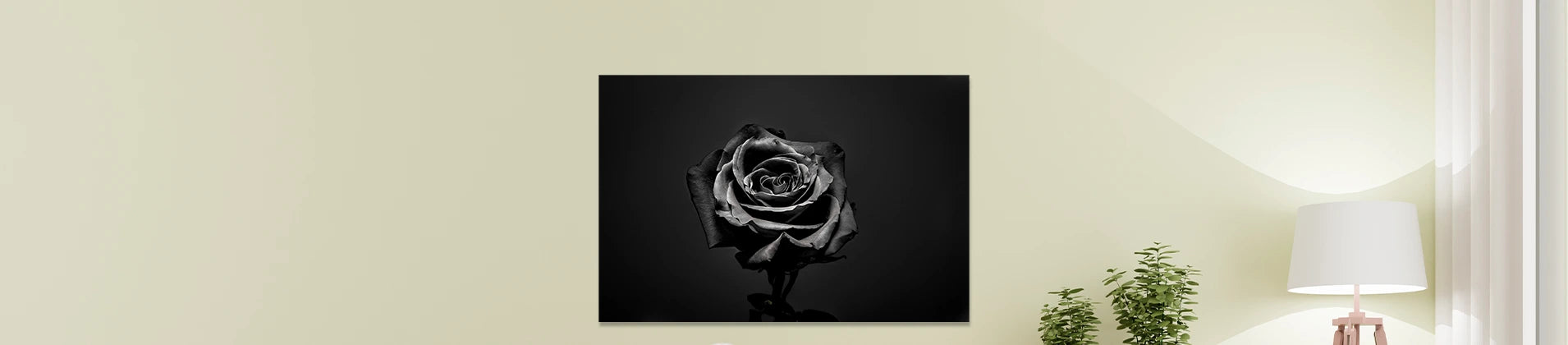 Nature-Inspired Black and White Art For Calm Spaces