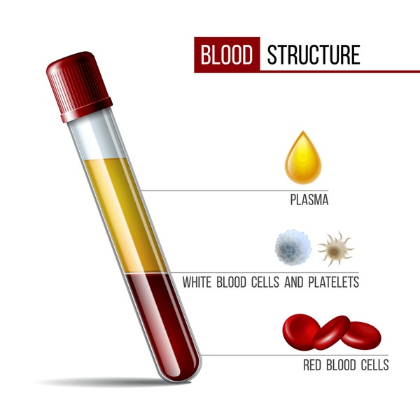 Plasma Fractionation: Industry Overview, Application, and Latest Trend in the Market