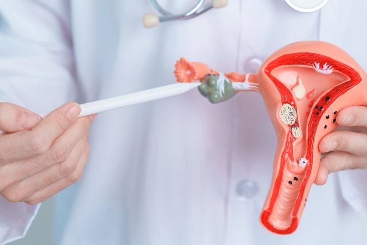 United States Ovarian Cancer Diagnostics Market: Dynamics, Key Players, and Industry Projections till 2029 by TechSci Research