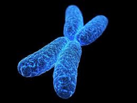 Hunter Syndrome Market Size, 2024 Analysis, Industry Trends and Forecasts to 2034