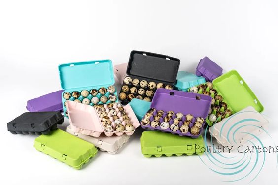 Sustainable and Reliable Egg Cartons from Poultry Cartons