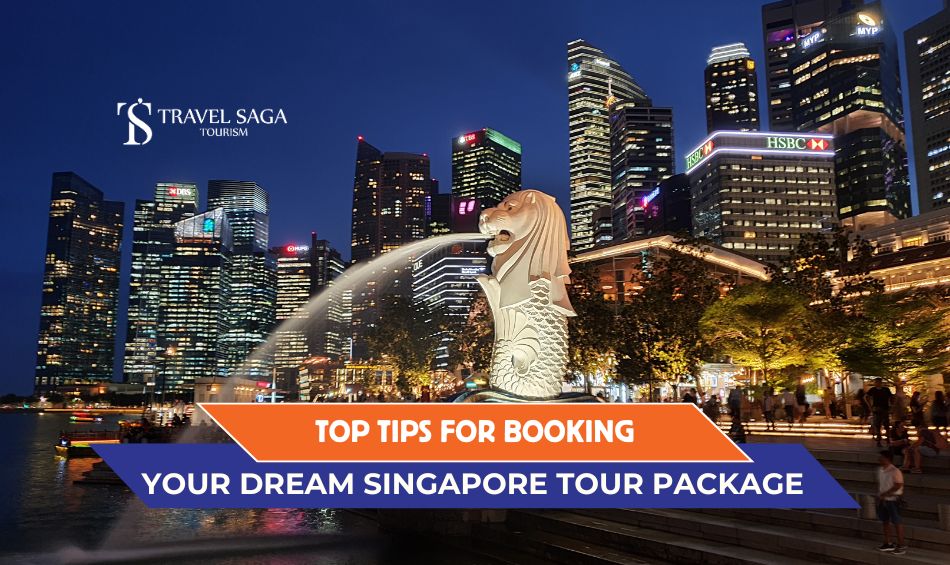 Top Tips For Booking Your Dream Singapore Tour Package