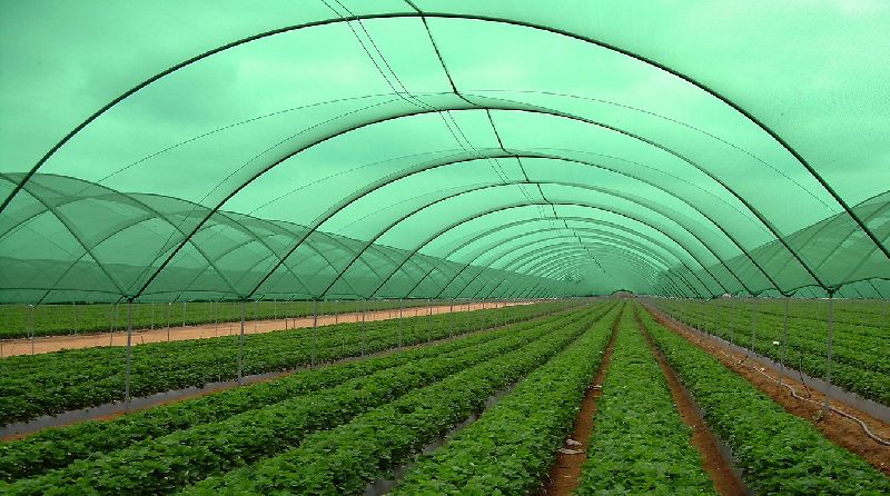 Green Agro Shade Net Manufacturing Plant 2024: Materials Cost, Project Report, Setup Details and Requirements
