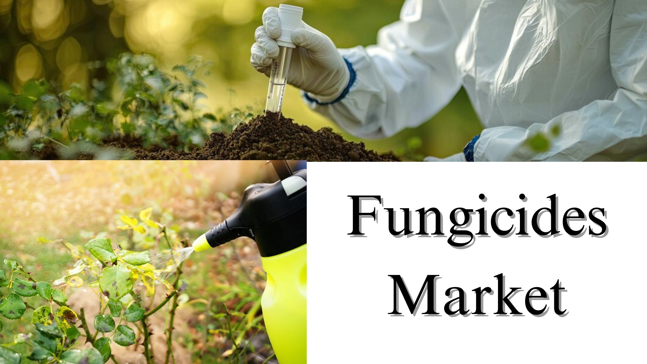 Fungicides Market Size, Share, and Growth Trends by 2032