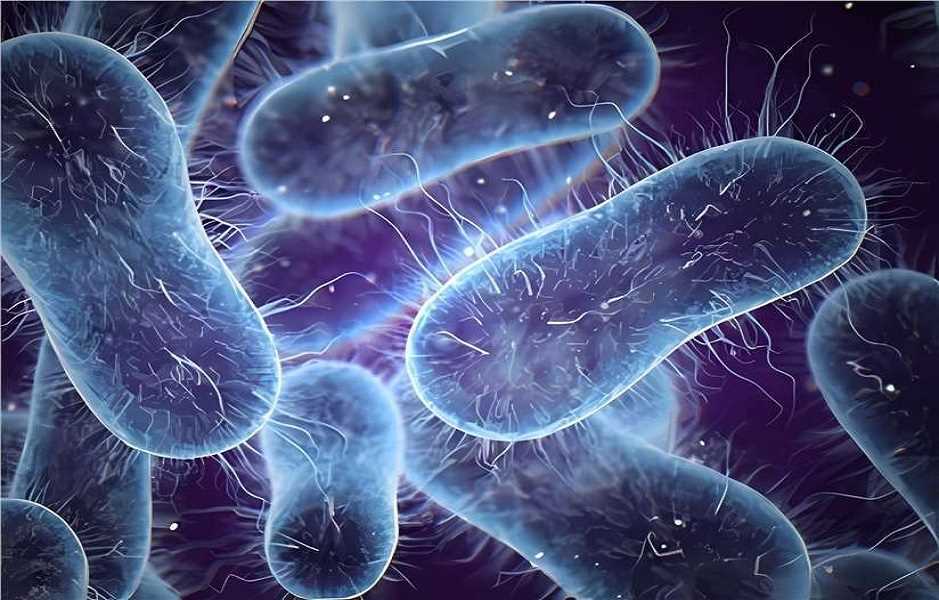 Gene Delivery: A New Technology for Cancer Therapy