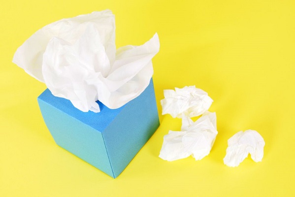Tissue Paper Manufacturing Plant Report 2024: Project Cost, Machinery Requirement, and Profit Margin