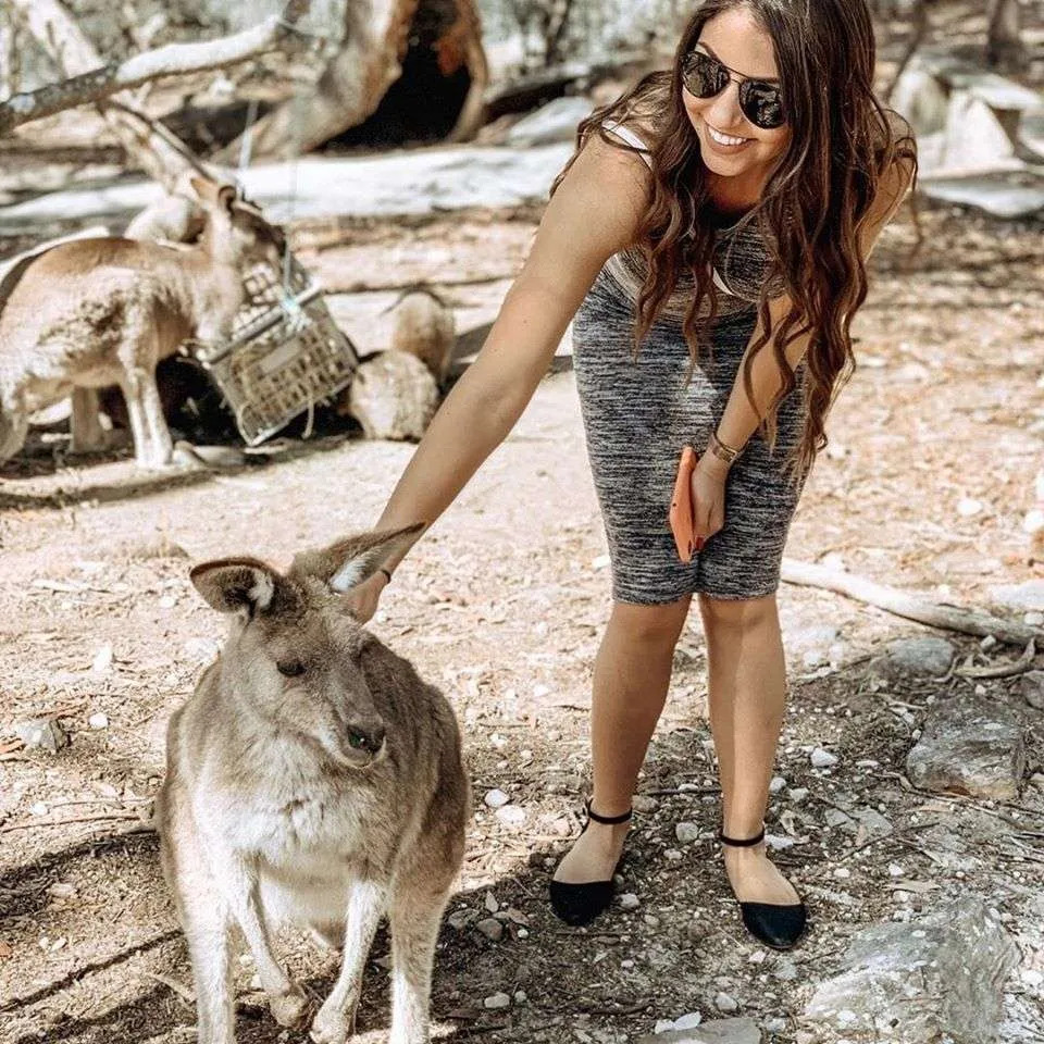 Discover the Best of Sydney: A Comprehensive Guide to Sydney City Tours and Blue Mountains Private Tours
