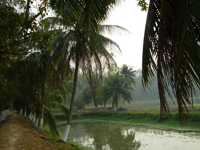 Sualkuchi: The Heartbeat of Assam's Silk Weaving Tradition
