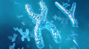 Karyotyping Service Market - Market Forecast | By Dataintelo